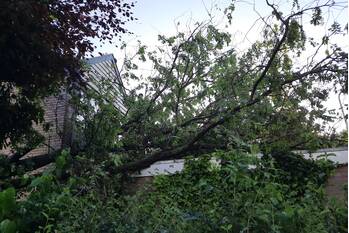 natuur militaireweg krommenie