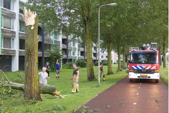 natuur visseringstraat kampen