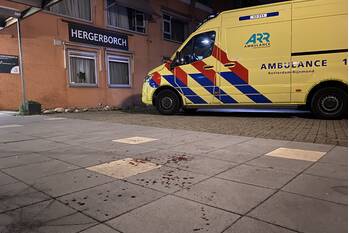 steekincident raadhuislaan berkel en rodenrijs