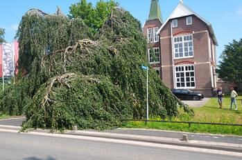 natuur snekerstraat bolsward