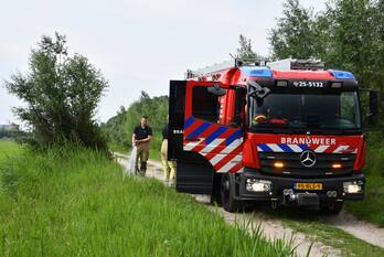 brand oeverzegge lelystad