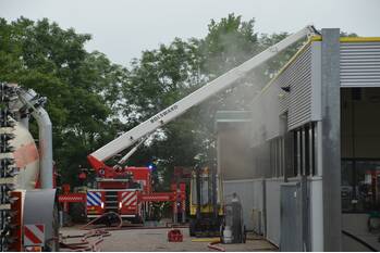 brand sibadawei easterein