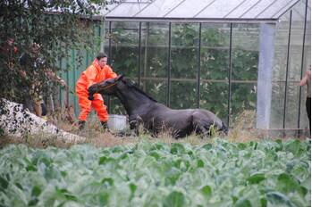 nieuws lindeweg heerjansdam