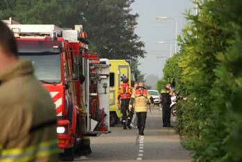 nieuws hoeksedijk maasdam