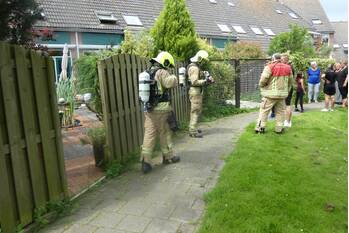 brand sluierkruid krimpen aan den ijssel