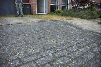 nieuws de boeg amersfoort