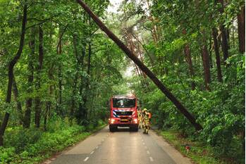 natuur dikkenbergweg bennekom