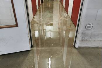 waterlekkage pollenstein ede