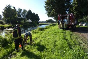 nieuws het spiek beilen