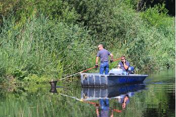 natuur ringweg koppel amersfoort