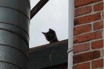 nieuws brinkstraat beilen