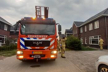 brand spurrie beilen