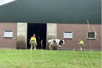 nieuws dieperskant erp