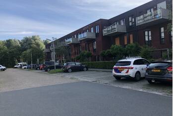 steekincident de jokse leeuwarden