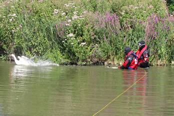 nieuws westsingel goes