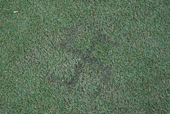 nieuws het masker amersfoort