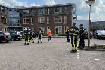 nieuws de drie dukatons leeuwarden