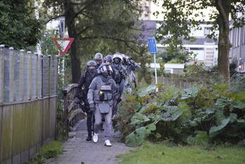 nieuws wilde wingerdlaan gouda