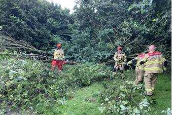 natuur professor schermerhornpark ede