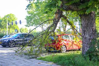 natuur larixstraat amersfoort
