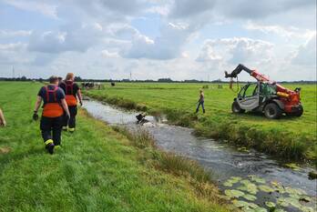 nieuws beijersewegje gouderak