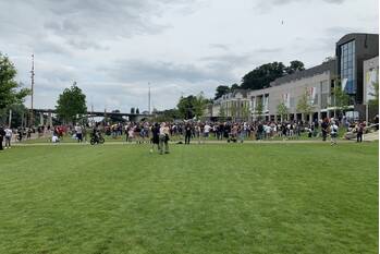 nieuws waalkade nijmegen