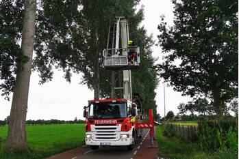 natuur slagsteeg bennekom
