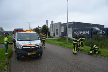 nieuws piter terpstrawei leeuwarden