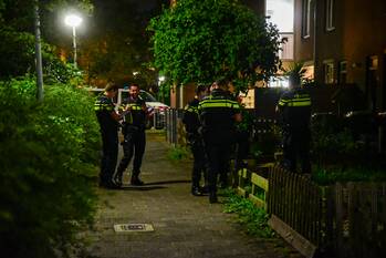 nieuws fakkelgras spijkenisse