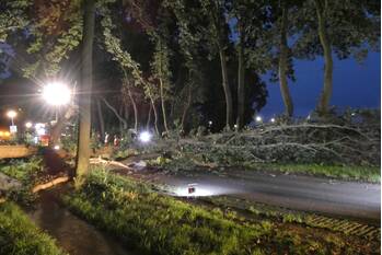 nieuws ossebroeken beilen