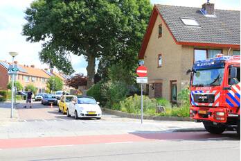 natuur dennenlaan nijkerk