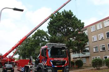 nieuws sondauwhof noordwijk