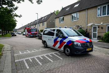 nieuws vloedlijn hoogvliet rotterdam