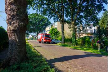 nieuws torenstraat soest