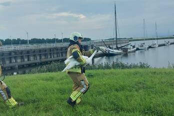 nieuws sluispad noord willemstad