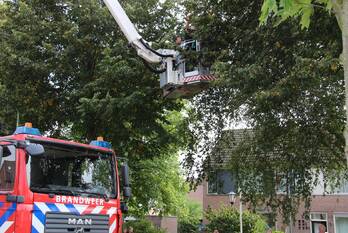 nieuws de graaff werkendam