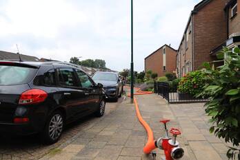 milieu wilde zwaan bunschoten-spakenburg