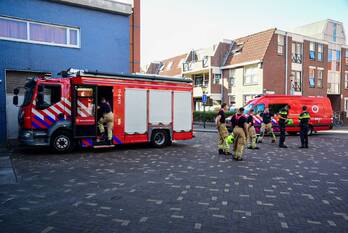 nieuws nieuwe buurt schiedam