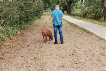 nieuws langekampweg ede