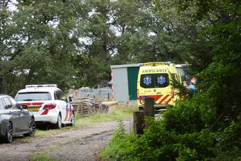 nieuws hamveld wijster