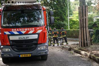 nieuws hondsruglaan groningen