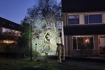 natuur de tuimelaar veenendaal