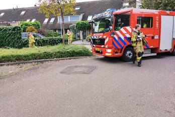 waterlekkage gerard doustraat ede