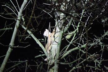 nieuws louise de colignystraat weert