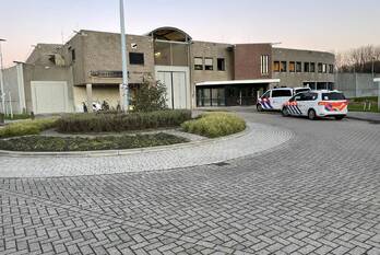 steekincident borgtweg spijkenisse