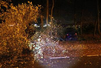 ongeval spekkelaan lisse