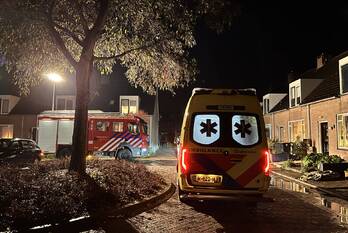 milieu de lei brouwershaven