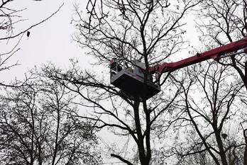 natuur jonker sloetlaan bennekom