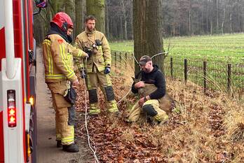 nieuws fazantweg elsendorp