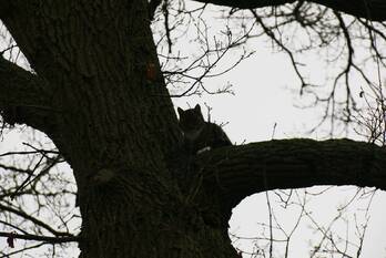 nieuws klokkendijk notter